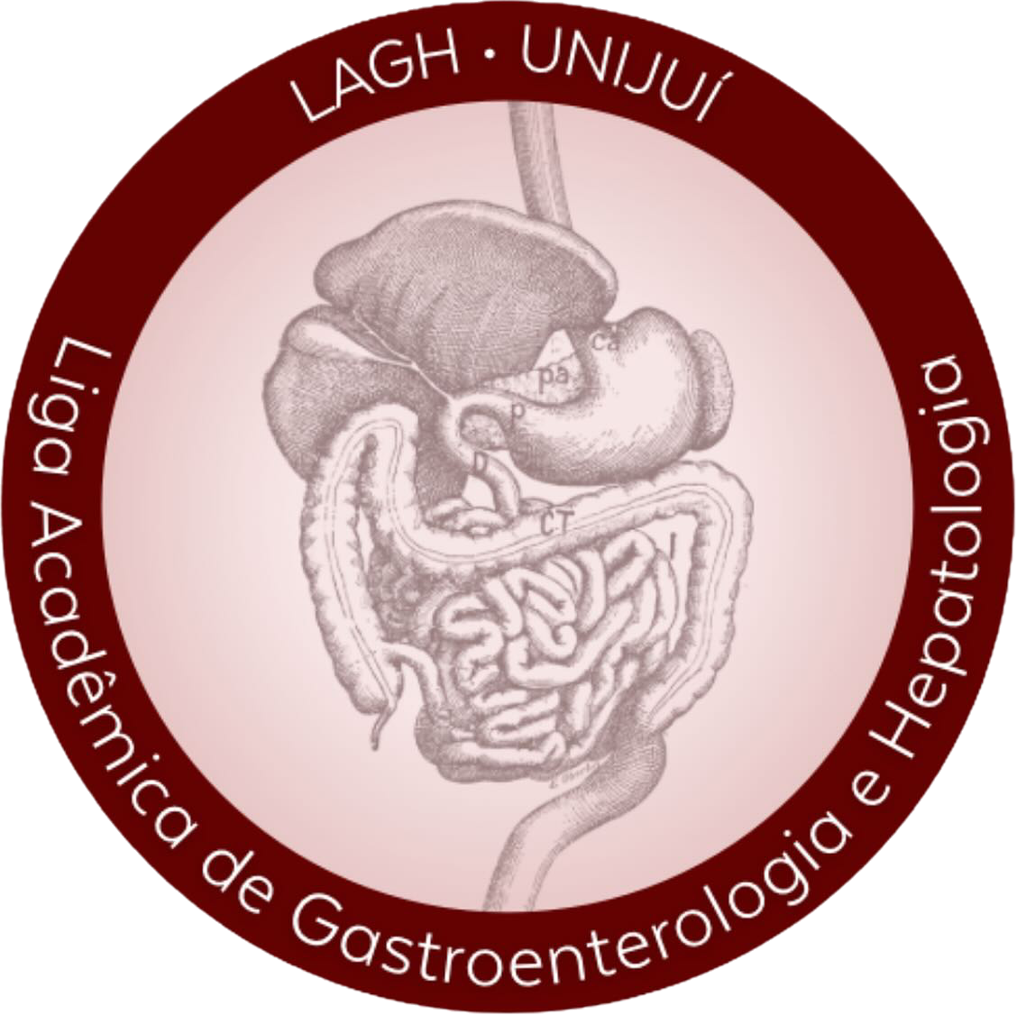 Selo LAGH · UNIJUÍ